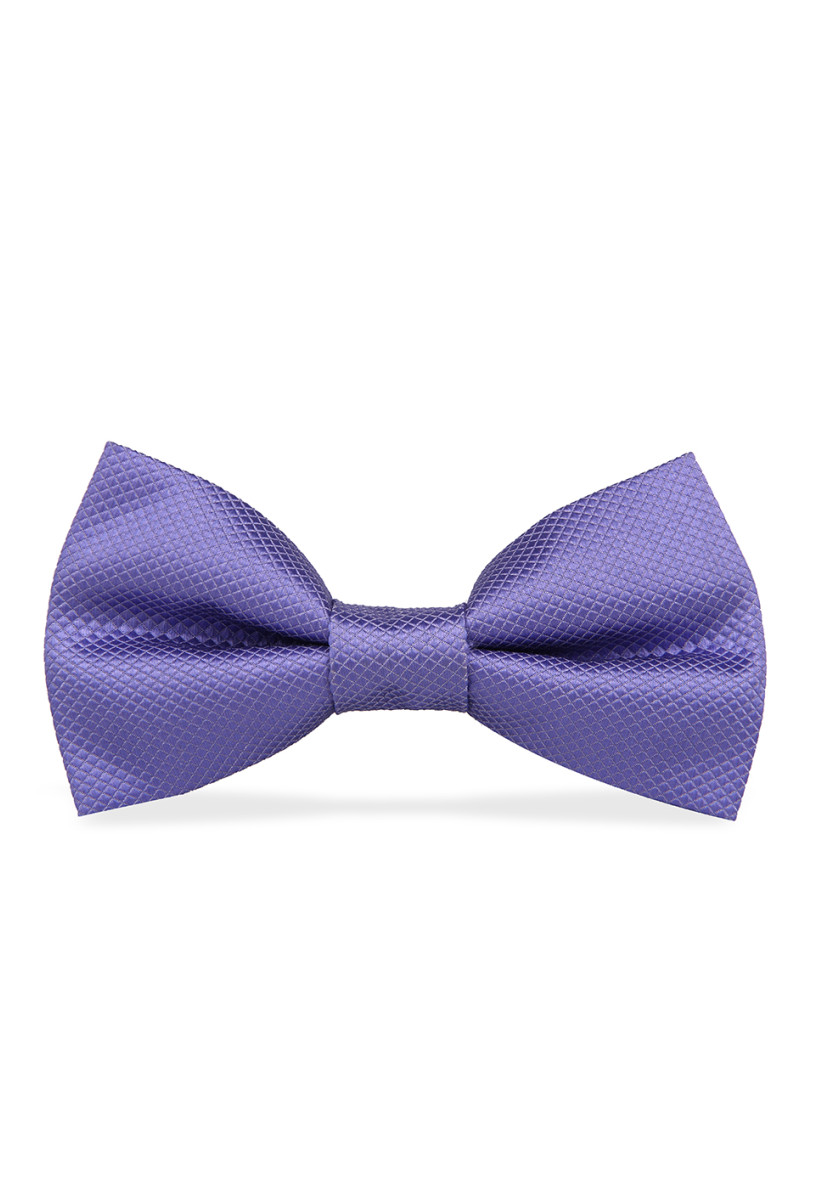 Papillon Papillon