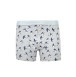 Boxer