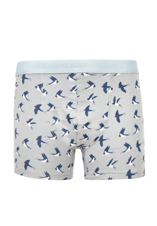 Boxer