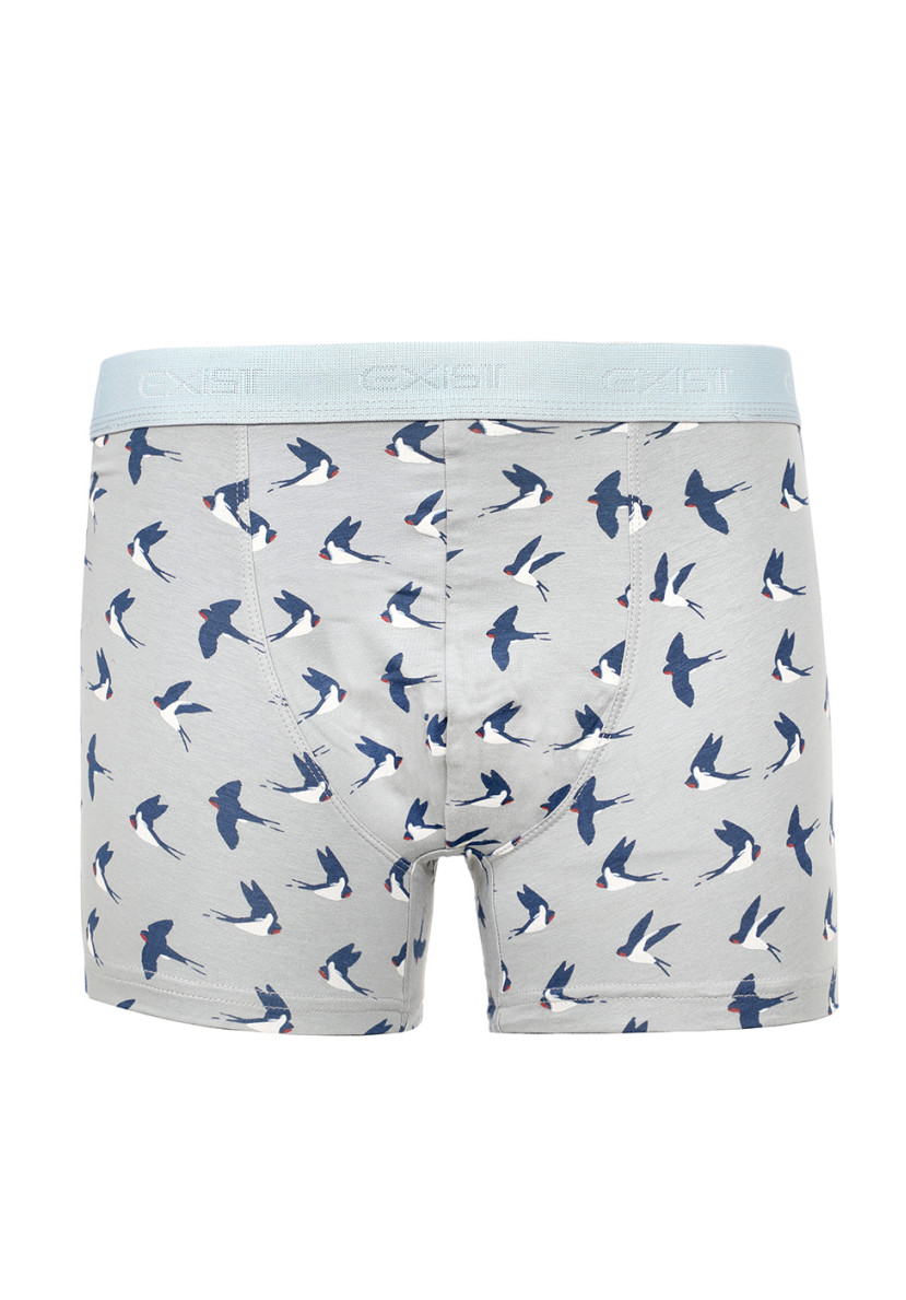 Boxer Boxer
