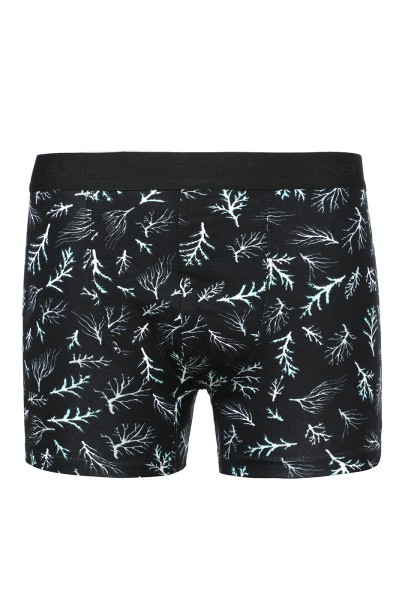 Ensemble de deux boxers
