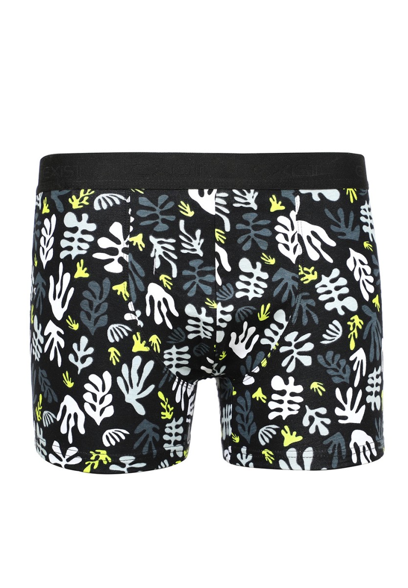 Ensemble de deux boxers